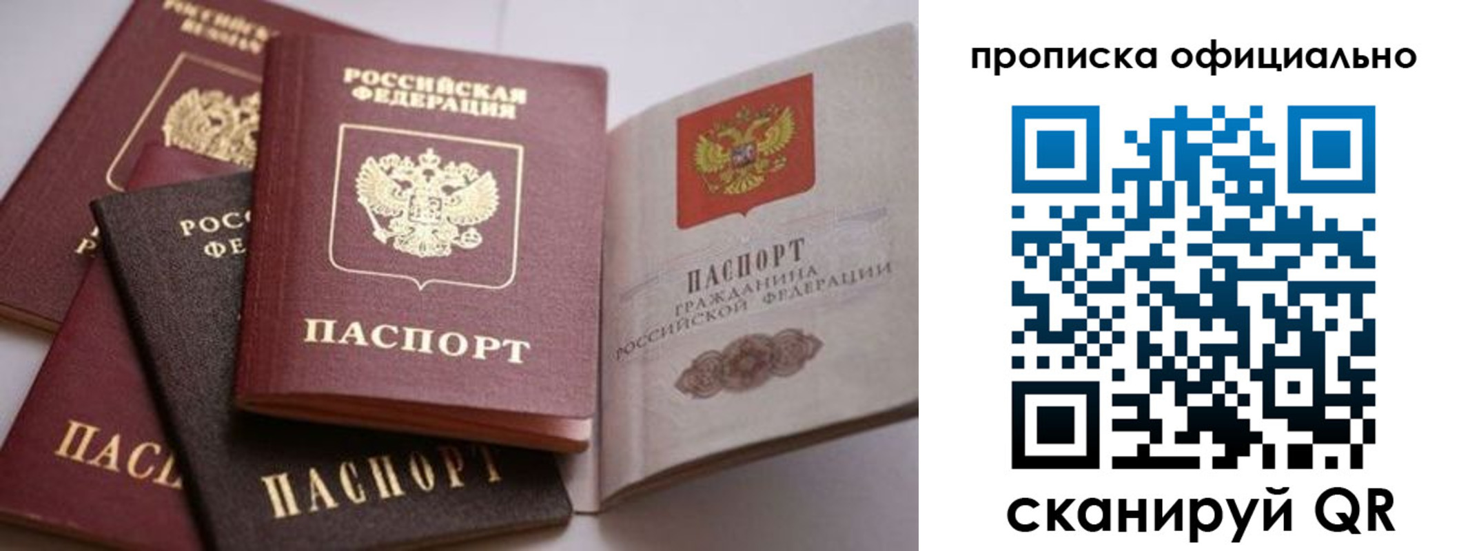 прописка поиск в Калуге